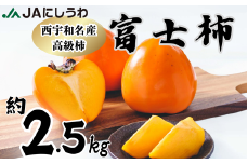 JAにしうわの季節のくだもの(富士柿約2.5kg)＜D08-88＞【1516812】