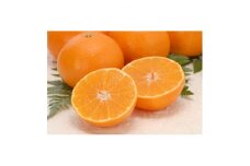 ＜先行受付＞愛まどんな3kg 化粧箱入り 11月下旬～12月下旬頃に順次発送予定＜E21-24＞【1512538】
