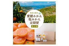 ＜発送月固定定期便＞愛媛みかん&新しい調味料 塩みかんセット＜F25-162＞全2回【4050220】
