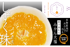 “本物産地の味” みかん大福「しずく珠(だま)」口いっぱいに広がる果汁!＜C24-11＞_ 大福 フルーツ大福 フルーツ みかん 果物 くだもの スイーツ 和菓子 お菓子 餅 お餅 お茶菓子 お取り寄せ 冷凍 果汁 ジューシー 【1171839】