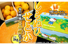 柑橘味くらべ!「せとか+しらぬい」2種詰め合わせ計約3kg(ハローキティパッケージ)＜C24-10＞【1518750】