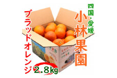 愛媛・小林果園のブラッドオレンジ 約2.8kg＜C24-32＞【1519321】