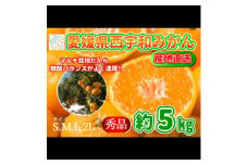 ＜先行受付＞山海の西宇和みかん5kg(秀品)＜C81-2＞【1520963】
