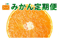 ＜発送月固定定期便＞愛媛県限定柑橘定期便＜G33-43＞全2回【4053142】