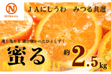 JAにしうわの季節の柑橘(みつる共選「蜜る」約2.5kg)＜C08-74＞【1447980】