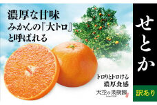 ＜訳あり＞天空の果樹園から届くそらせとか (5kg)＜D45-38＞【1339378】