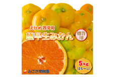 極早生みかん 5kg 愛媛県産＜C21-29＞【1523640】