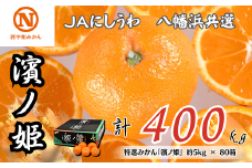 特選みかん「濱ノ姫」計400kg(約5kg×80箱)＜H08-81＞【1510459】