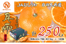 特選みかん「千兩」計250kg(約2.5kg×100箱)＜H08-82＞【1510460】