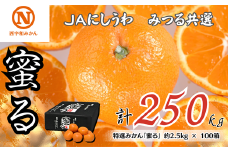 特選みかん「蜜る」計250kg(約2.5kg×100箱)＜H08-86＞【1510469】