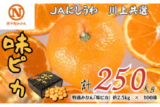 特選みかん「味ピカ」計250kg(約2.5kg×100箱)＜H08-84＞【1510472】