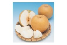 秋月梨＜家庭用＞約4kg＜D76-10＞【1532480】