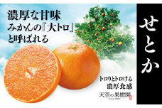 ＜天空の果樹園＞そらせとか ( 3.5kg )＜D45-74＞【1339373】