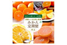 ＜発送月固定定期便＞愛媛の人気品種を厳選!みかん定期便(秀品)＜H25-166＞全12回【4054625】