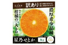 ＜訳あり＞星乃せとか 柑橘の大トロ(3kg)＜C45-87＞【1535970】