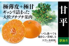 ＜訳あり＞天空の果樹園から届ける甘平(3kg)＜C45-89＞【1535973】