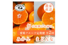 ＜発送月固定定期便＞2025年発送 愛媛フルーツ旬の柑橘 みかん・まどんな＜F70-39＞全2回【4055155】