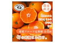 ＜発送月固定定期便＞愛媛の美味しい柑橘 みかん・まどんな・伊予柑・甘平＜H70-40＞全4回【4055156】