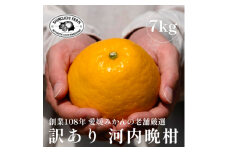 愛媛みかんの老舗＜河内晩柑 訳あり 7kg＞新口農園＜D70-45＞【1537315】