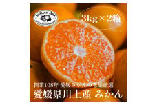 愛媛みかんの老舗厳選＜愛媛県川上産 みかん3kg×2箱＞新口農園＜D70-32＞【1536240】