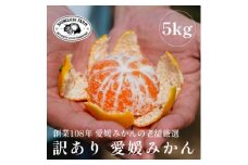 ＜創業108年＞愛媛みかんの老舗＜訳あり みかん5kg＞＜C70-37＞【1536340】