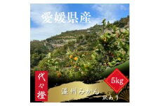 代々橙みかん5kg(家庭用・サイズ混合)＜C83-1＞【1539373】