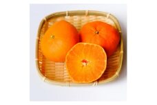 ＜濃密でシャキシャキ甘い＞代々橙甘平＜訳あり＞3.5kg＜C83-8＞【1543885】