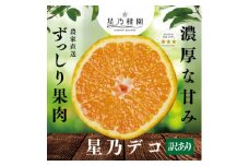 ＜訳あり＞星乃みかん園の星乃デコ/不知火(4kg)＜C45-57＞【1339338】