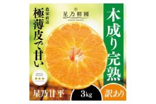 ＜訳あり＞星乃みかん園の甘平(3kg)＜C45-88＞【1535971】