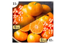 ＜発送月固定定期便＞「こたつの上の冬物語」夕やけみかん(4kg)＜F49-71＞全2回【4056122】