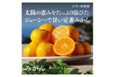 ＜天空の果樹園＞そらみかん (5kg)＜D45-68＞【1339405】