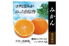 ＜天空の果樹園＞そらみかん (5kg)＜D45-68＞【1339405】