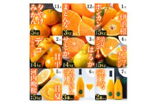＜発送月固定定期便＞「こたつの上の冬物語」驚異の全14種類!!＜H49-75＞全9回【4056043】