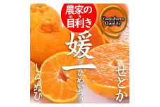 《愛媛・八幡浜柑橘詰合せ》よくばり2箱セット(せとか・しらぬひの2品種)＜C28-38＞【1504074】