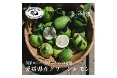 ＜防腐剤・ワックス不使用＞愛媛県産グリーンレモン 3kg＜C70-47＞【1550650】