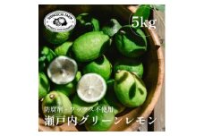 ＜皮ごと食べられる＞瀬戸内グリーンレモン 5kg 防腐剤・ワックス不使用＜D70-48＞【1550660】