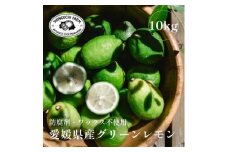 ＜皮ごと食べられる＞愛媛育ちのグリーンレモン 10kg 防腐剤・ワックス不使用＜H70-49＞【1550663】