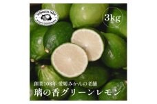＜皮が薄くて種が少ない＞璃の香グリーンレモン 3kg 愛媛県産＜C70-50＞【1550669】