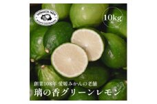 ＜皮が薄くて種が少ない＞璃の香グリーンレモン 10kg 愛媛県産＜H70-52＞【1550685】