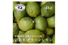 ＜防腐剤・ワックス不使用＞愛媛県産「訳あり」グリーンレモン 4kg＜C70-53＞【1550695】