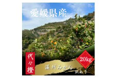 代々橙みかん20kg (家庭用・サイズ混合)＜H83-11＞【1543881】