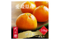 ＜ジューシー果肉がいい香り♪＞＜訳あり＞伊予柑 10kg＜E83-13＞【1549103】