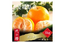 ＜濃厚な甘さ＞＜訳あり＞ポンカン 5kg＜C83-15＞【1549105】