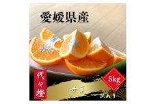 ＜ほろ苦くて甘酸っぱい＞＜訳あり＞甘夏 5kg＜C83-17＞【1549107】