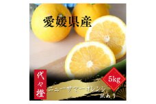 ＜初夏の味＞＜訳あり＞ニューサマーオレンジ 5kg＜C83-18＞【1549108】