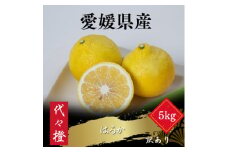 ＜爽やかな甘さ＞＜訳あり＞はるか 5kg＜C83-19＞【1549109】