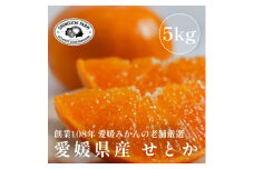 ＜2026年2月発送＞柑橘の大トロ＜せとか5kg(約15個～30個)＞家庭用＜G70-57＞【1554059】