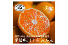 愛媛みかんの老舗厳選＜愛媛県川上産 みかん 3kg(約30玉)＞新口農園＜C70-59＞【1555030】