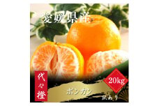＜濃厚な甘さ＞＜訳あり＞ポンカン 20kg＜H83-25＞【1557489】