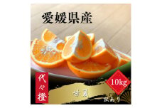 ＜ほろ苦くて甘酸っぱい＞＜訳あり＞甘夏 10kg＜E83-28＞【1557494】